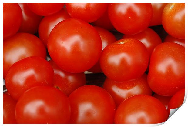 tomato Print by john williams
