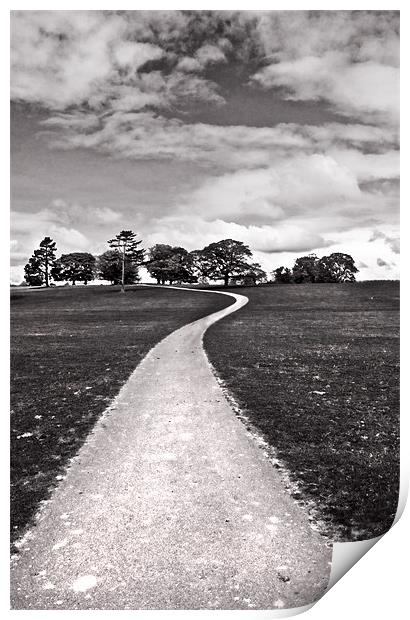 Stroll Down The Path Print by Jim kernan