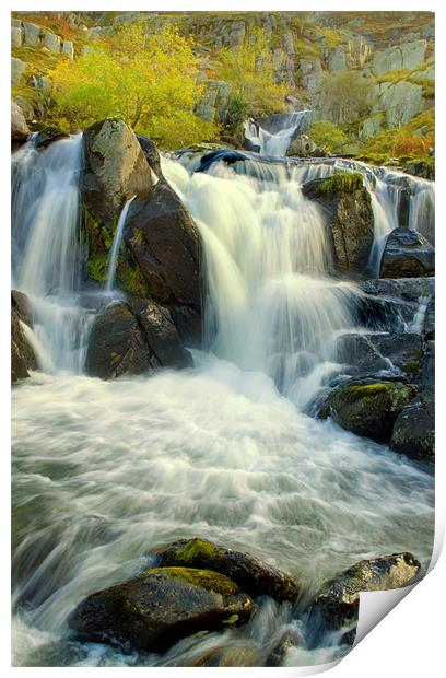 Swallow Falls Print by Jim kernan