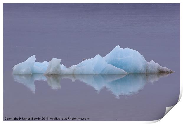 Lonely Ice Print by James Buckle