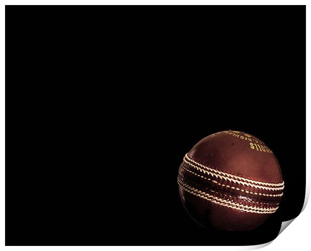cricket Print by paul morris