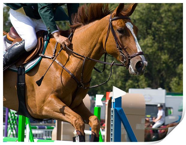 Show Jumping Print by Geoff Pickering