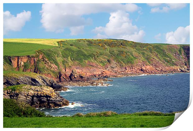 Coastal Path Along Stackpole Quay Print by Geoff Pickering