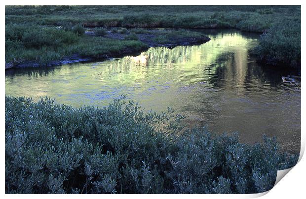 Reflection 2 3703_50337 Print by Judith Schindler-Domser