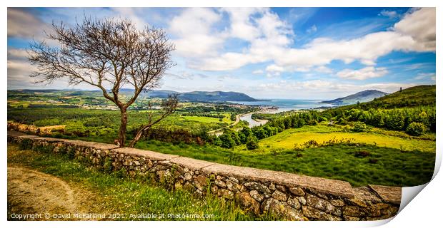 Majestic Flagstaff view over Warrenpoint Print by David McFarland