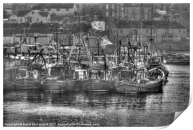 Ardglass fishing fleet Print by David McFarland