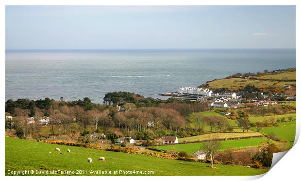 Cushendun hillsides Print by David McFarland