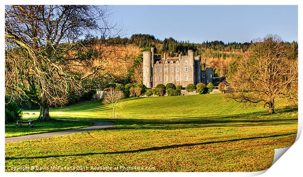 Castlewellan Castle Print by David McFarland