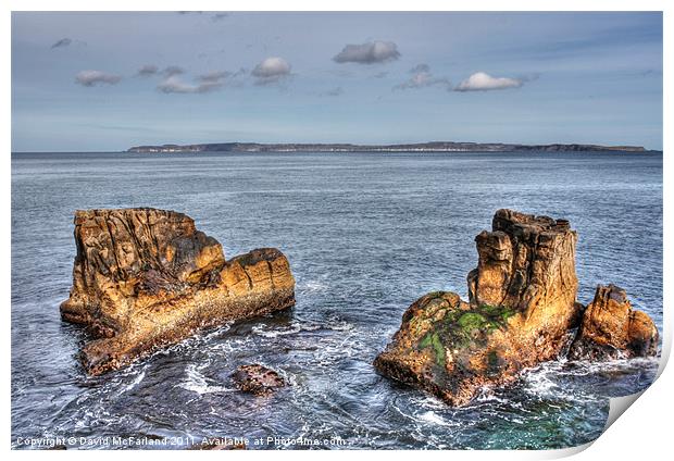 Rocks and Rathlin Print by David McFarland