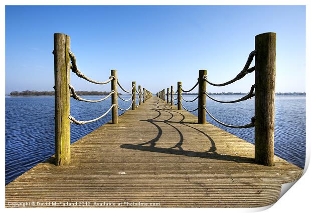 Ripples and ropes Print by David McFarland