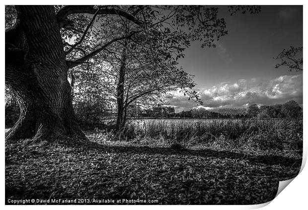 Lurgan Park shadows Print by David McFarland