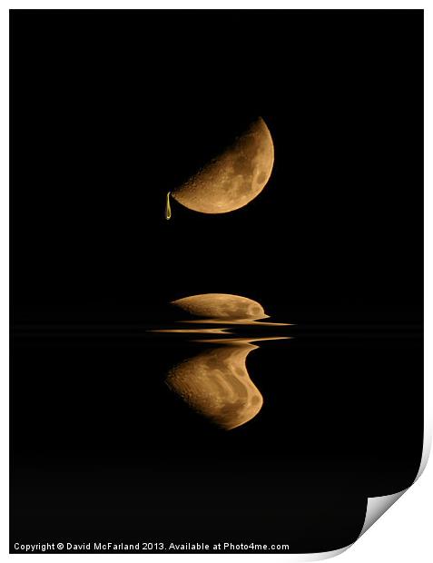 Golden Moondrops Print by David McFarland