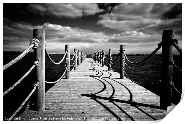 Oxford Island shadows Print by David McFarland