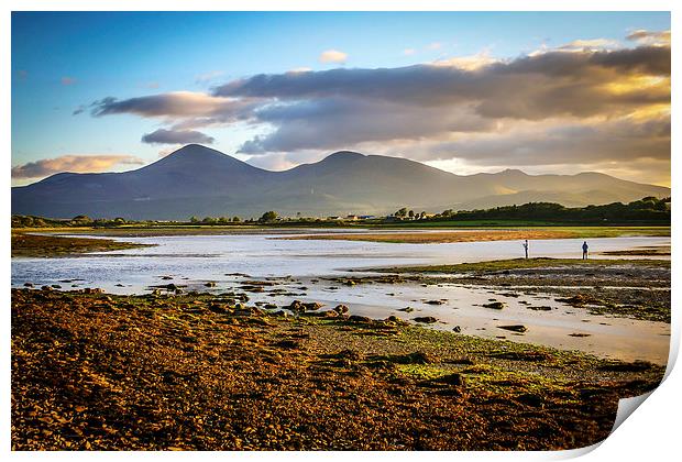 Evening anglers at the Mournes Print by David McFarland