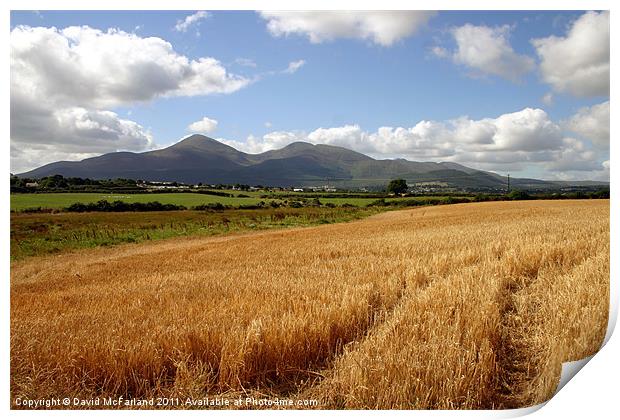 Harvest in the Mournes Print by David McFarland
