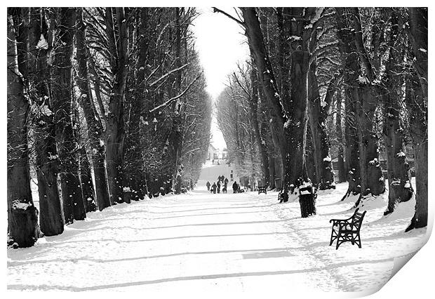 Winter walk in Lurgan Park Print by David McFarland