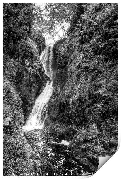 Glenariff waterfall Print by David McFarland