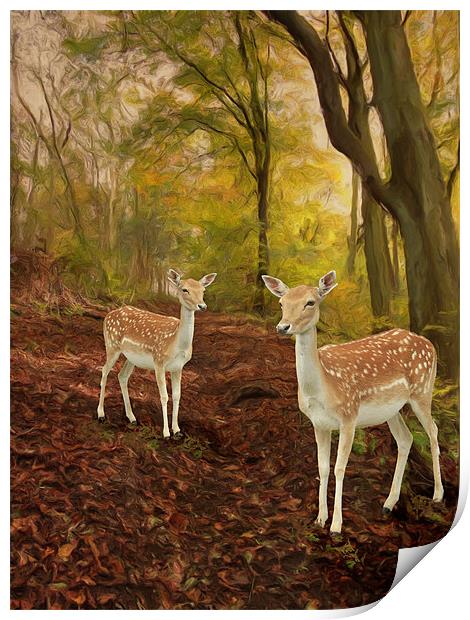 Two Little Deer's Print by Martin Parkinson