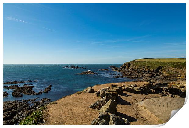 The Lizard Point Print by Brian Roscorla