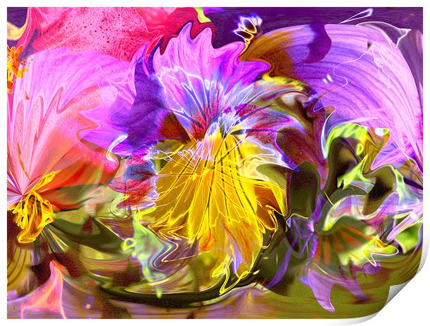 Abstract Viola Print by Brian Roscorla