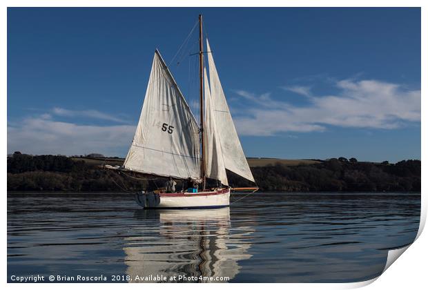 Falmouth Working Boats Print by Brian Roscorla