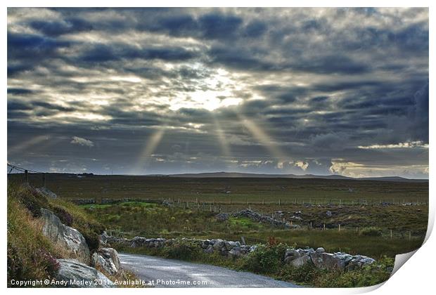 Sunburst Print by Andy Morley