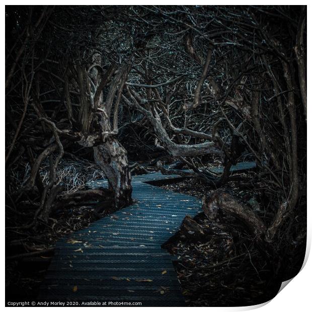 Into The Labyrinth Print by Andy Morley
