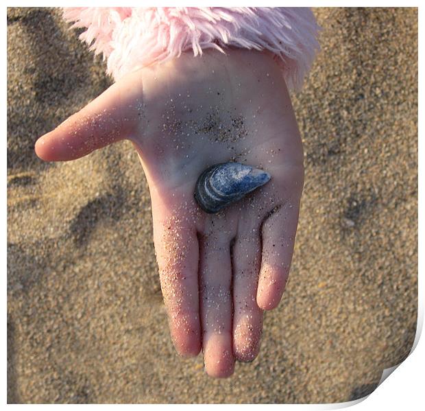 Child's Hand Holding a Shell Print by C.C Photography