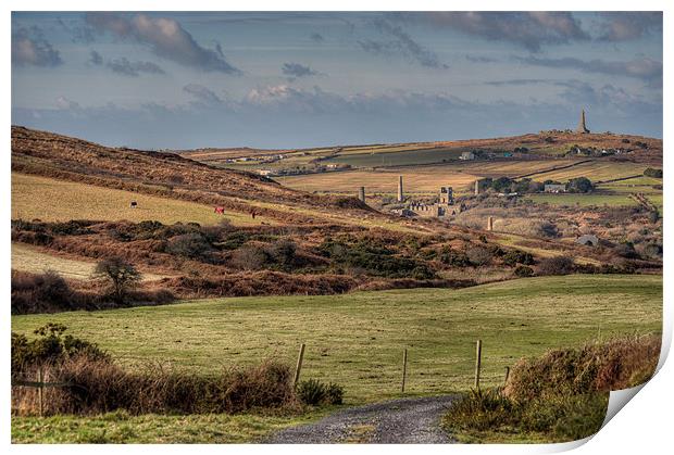 View towards Carn Brea Print by C.C Photography