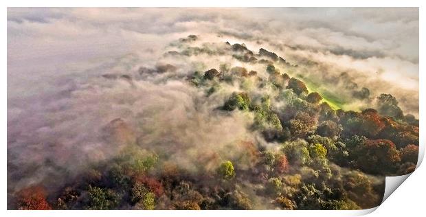 Autumn Mist Panorama Print by Steve Marriott