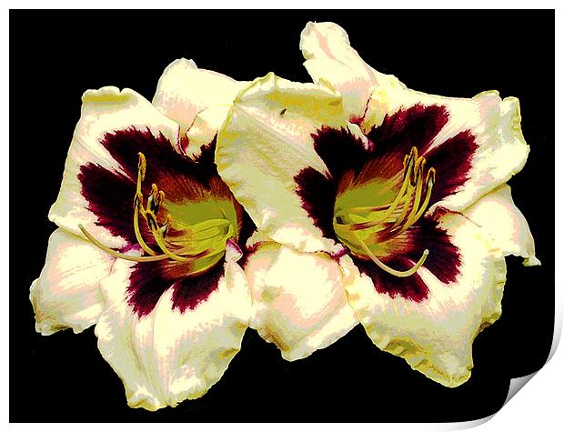 Two Lillies Print by james balzano, jr.