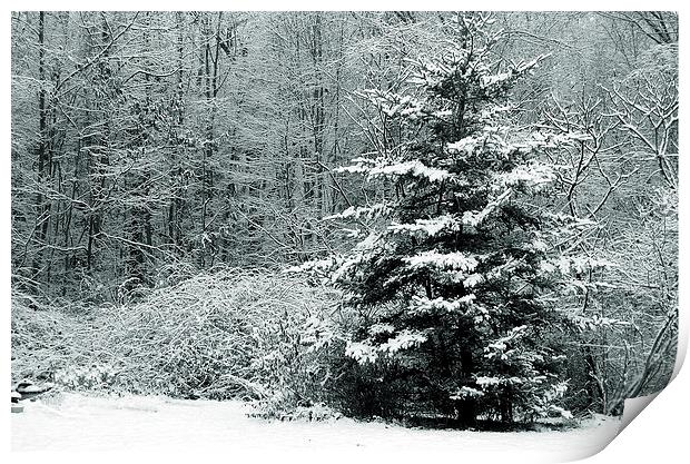 Winter Scene Tritone Print by james balzano, jr.