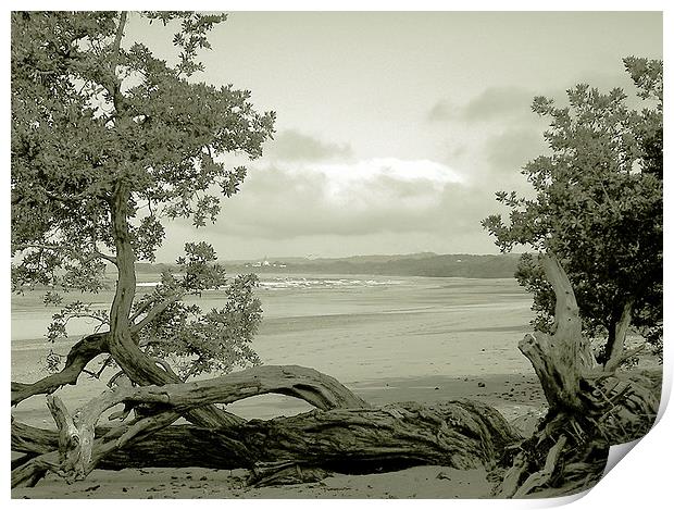  Beach at Beginning of Playa Guionnes Print by james balzano, jr.