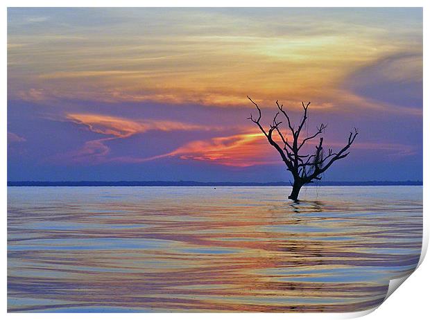 Lake Maracaibou Sunset, Venezuela Print by tim bowron