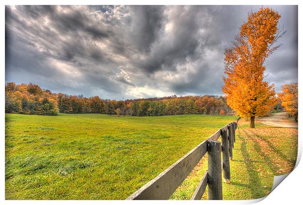 Autumn field Print by Andrew Pelvin