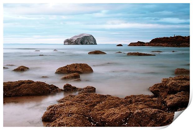 Bass Rock Print by Aj’s Images