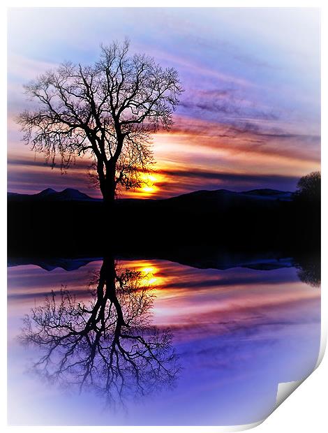The Tree Of Reflections Print by Aj’s Images