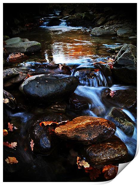 Dream A Little Stream With Me #1 Print by Aj’s Images