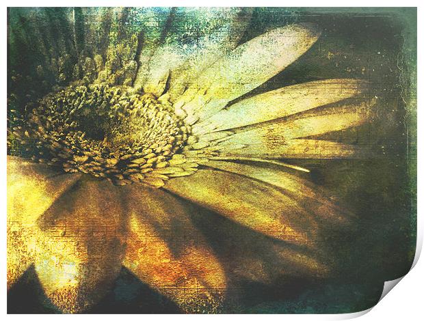A Floral  Symphony Print by Aj’s Images