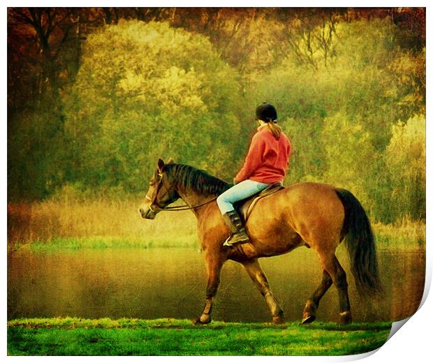 A Gentle Canter Print by Aj’s Images