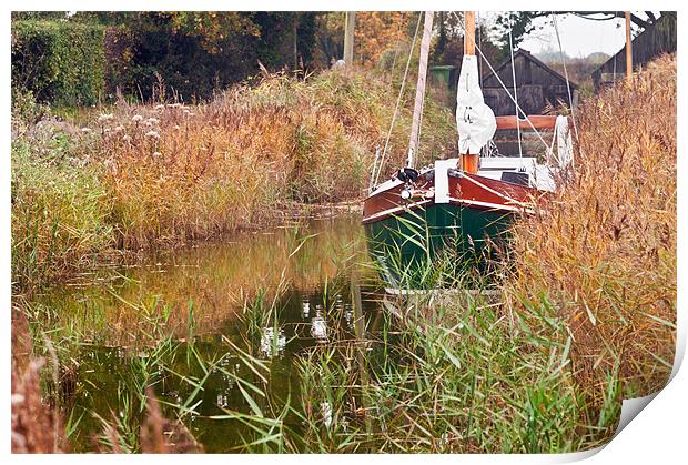 Moored at Hickling Print by Stephen Mole
