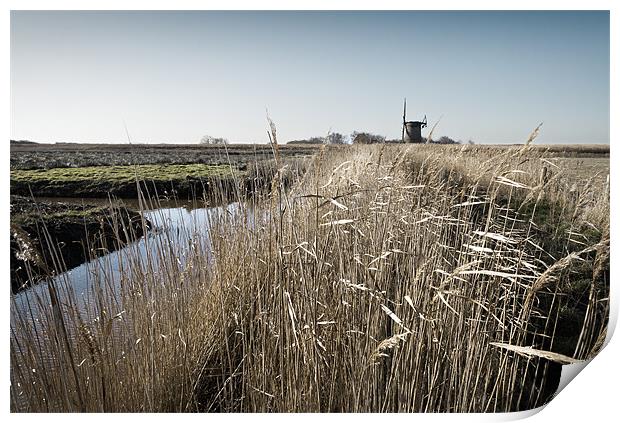 Footpath to Brograve Print by Stephen Mole