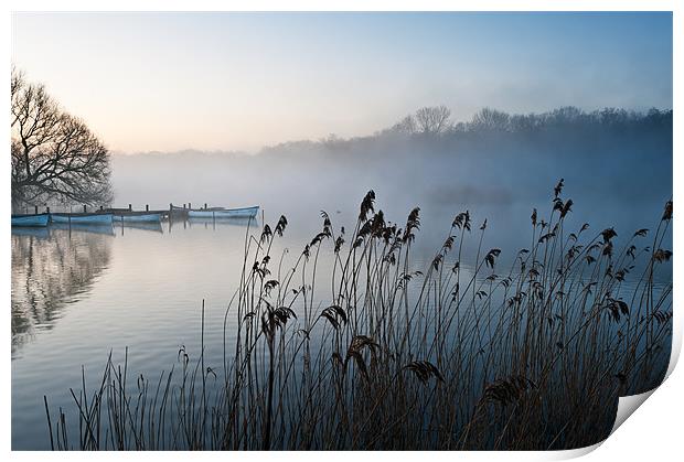 Reeds and boats at The Eels Foot Print by Stephen Mole