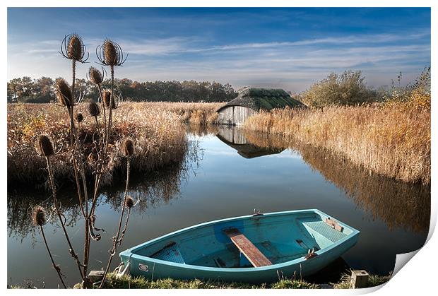 Blue Boat at Hickling Print by Stephen Mole