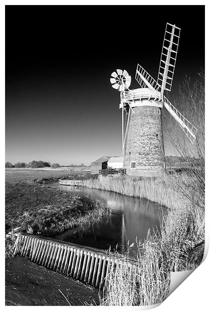 Horsey Mill in Black and White Print by Stephen Mole