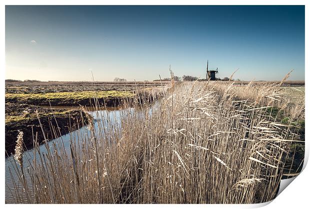 Brograve Mill through the Reeds Print by Stephen Mole