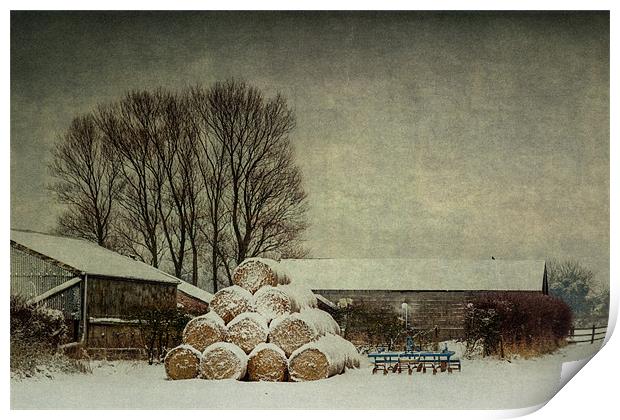 Hay bales in the snow Print by Stephen Mole