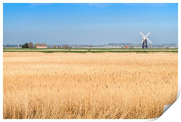 Berney Arms Windmill Print by Stephen Mole