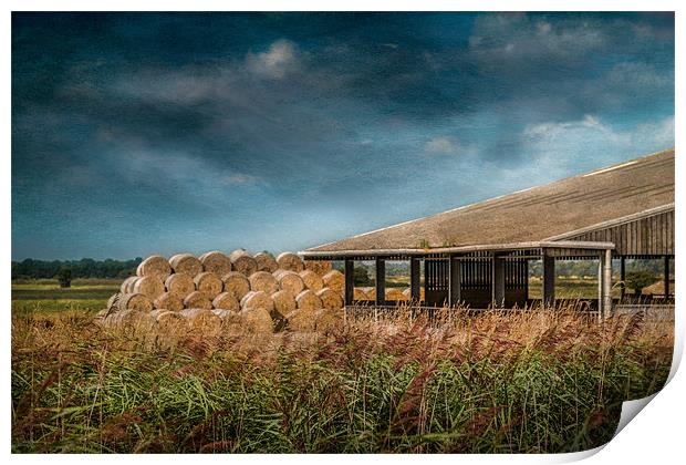 Hay Bales and Barn Print by Stephen Mole