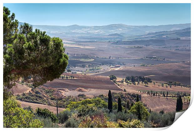 Tuscan Valley Print by Stephen Mole
